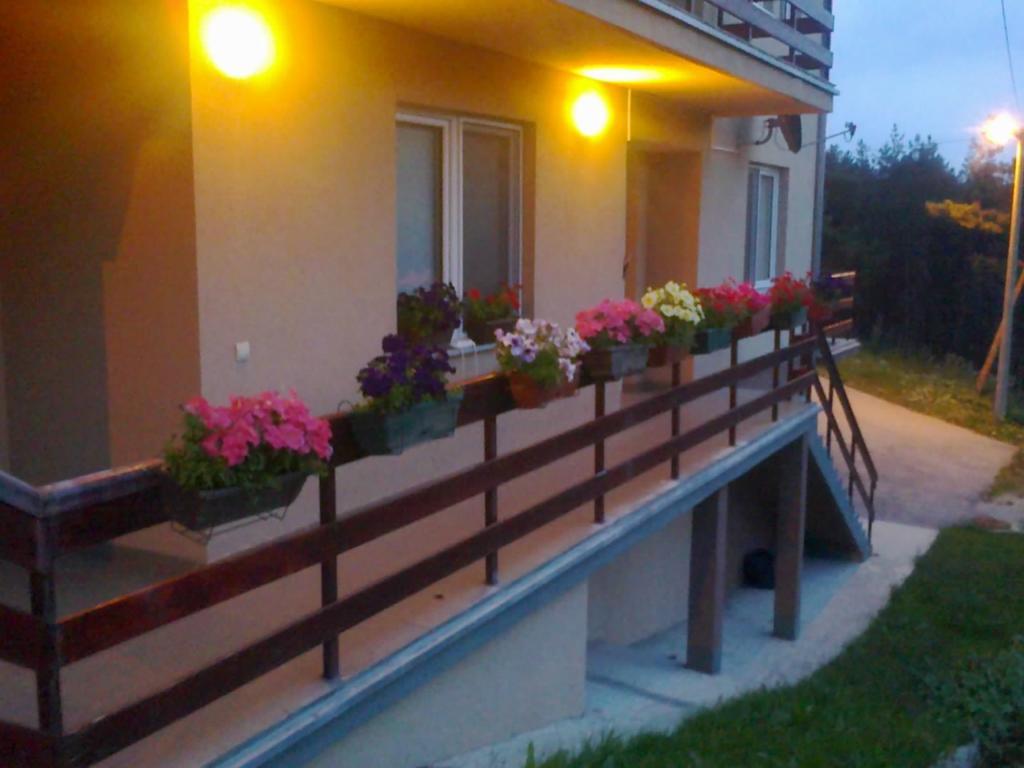 Apartments Varga Divčibare Esterno foto